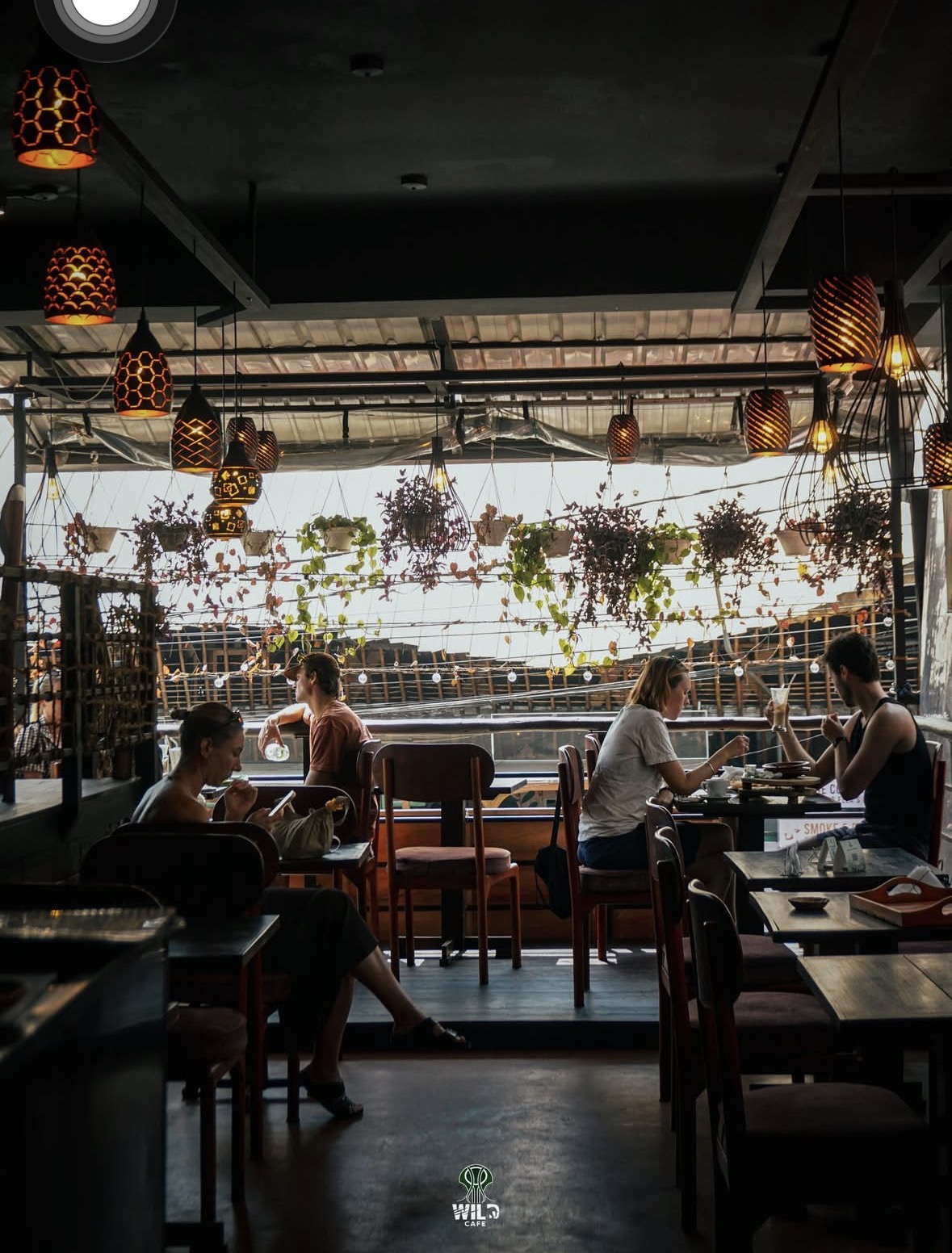Wild Cafe Ella 